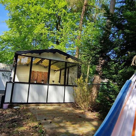"Dennenhuisje" Op Bospark Ijsselheide Hattemerbroek Kültér fotó