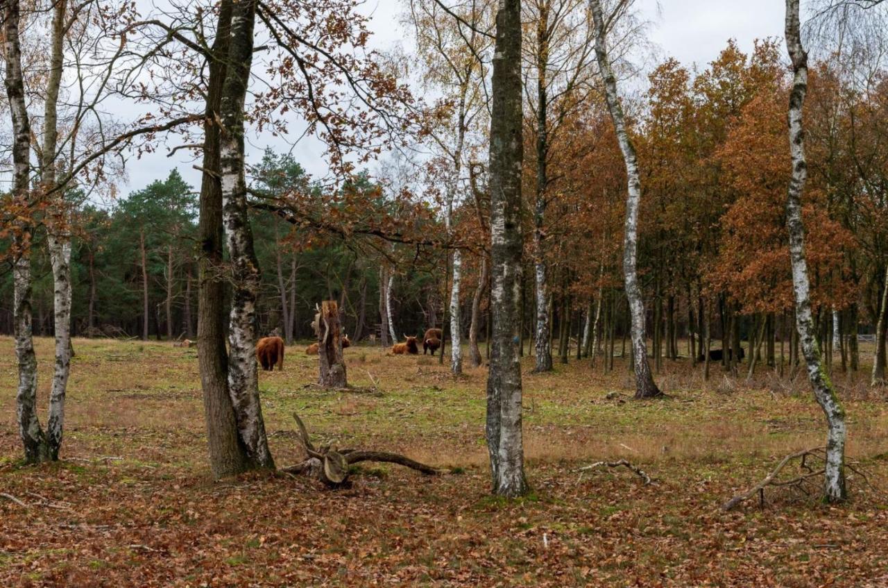 "Dennenhuisje" Op Bospark Ijsselheide Hattemerbroek Kültér fotó