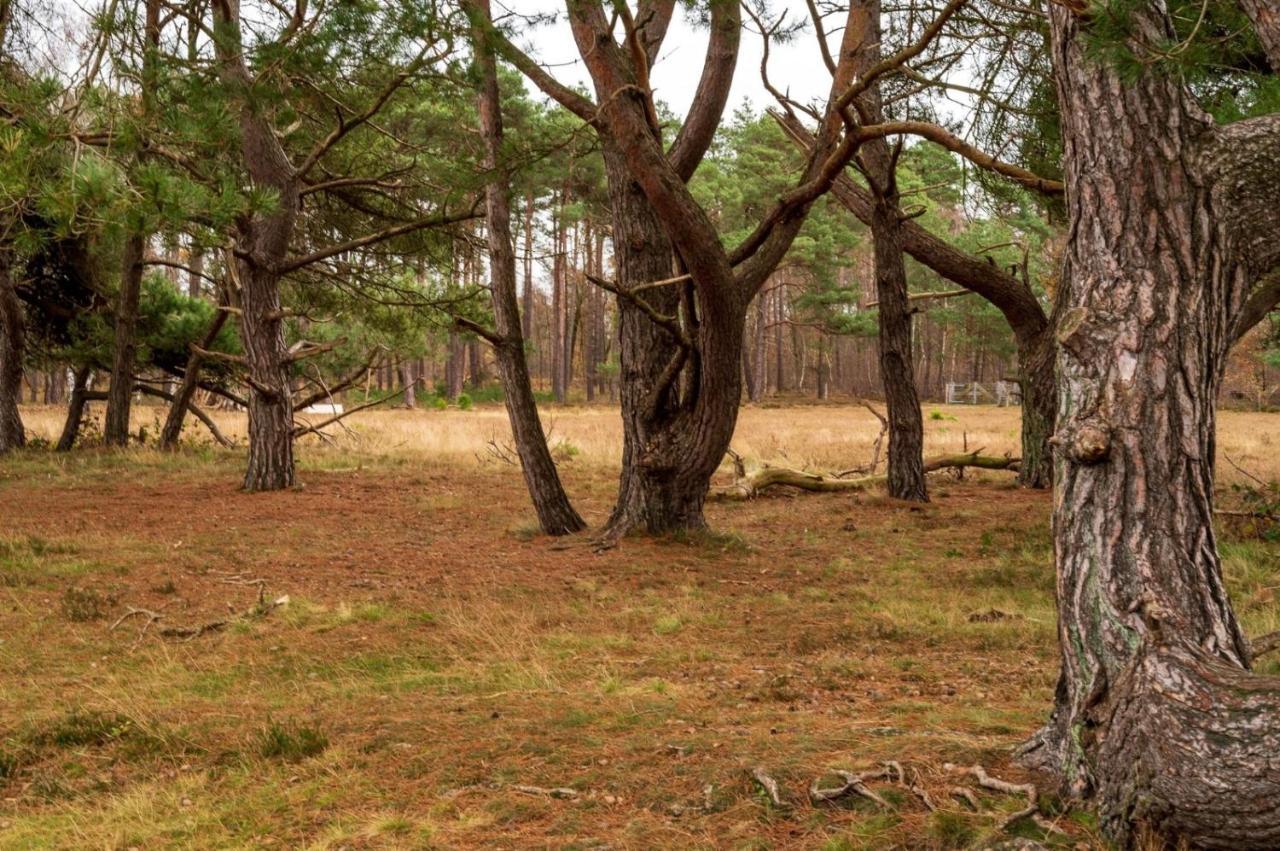 "Dennenhuisje" Op Bospark Ijsselheide Hattemerbroek Kültér fotó