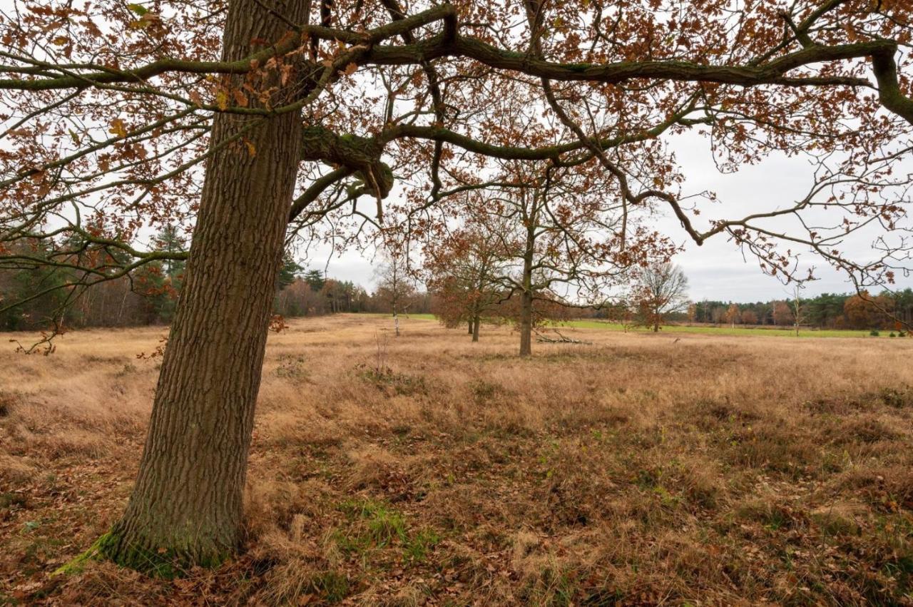 "Dennenhuisje" Op Bospark Ijsselheide Hattemerbroek Kültér fotó