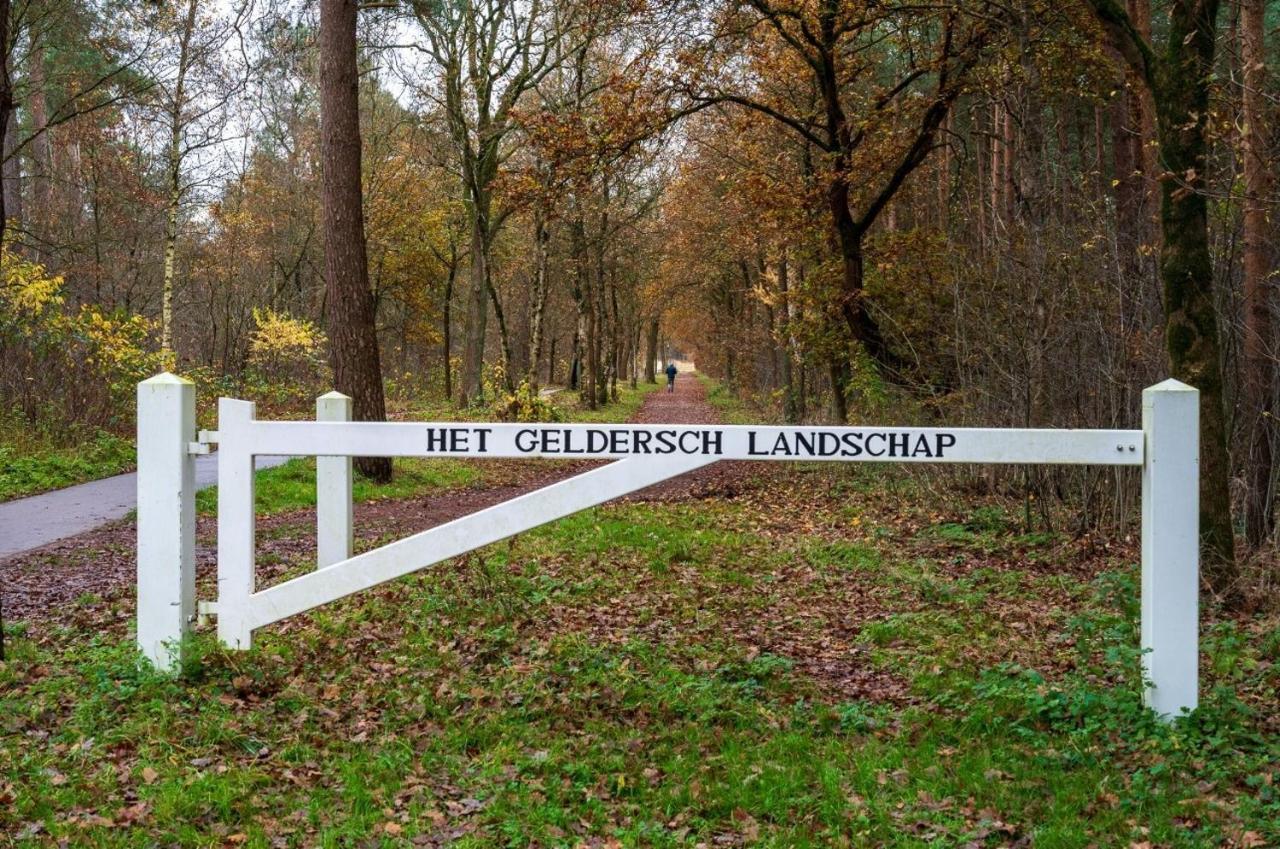 "Dennenhuisje" Op Bospark Ijsselheide Hattemerbroek Kültér fotó